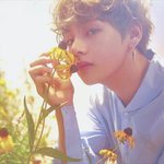 [방탄소년단] 이거봐봐...(말잇못) 큽