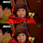 [세븐틴] ㅅㄷ? 잠못드는밤 풋살 뿌앱 복습했는데