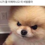 [댓글부탁해] 중딩인데 오늘부터 공부하면 <b>가망</b>있을까