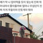 [조언부탁해] 인문계 <b>실업</b>계 어떡해야할까