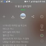 [세븐틴] 안녕..타팬인데 울고싶지않아 너무 좋다