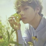 [방탄소년단] 이삐들아 사진 <b>보정</b>해봤는데!