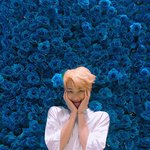 [방탄소년단] 이삐들 타니들 음악 이렇게 들어본적있어?