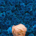 [방탄소년단] 이거 남준이가 꽃 꼽고 있는거야???