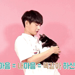 [JBJ] 빨리데뷔하고 여기도 활성화 됐음 좋겠당ㅠㅠ