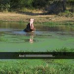 [10대의성] 나보다 <b>타락</b>한사람있냐ㅠㅠㅠ