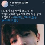 [세븐틴] 24시간동안 시리즈 이건 도대체 <b>정체</b>가 뭘까..