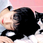 [김용국] 콜국 냥이 <b>투샷</b> 넘 좋아