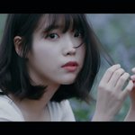 [아이유] 좋아요 안 박으면 유죄