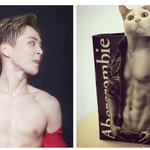 [시우민] <b>외국팬</b>이 본 시우민의 모습