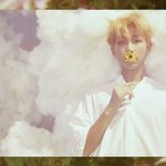 [방탄소년단] 컨포 이렇게 내놓고