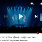 [EXO] 저 머글인데요 ㅠㅠ