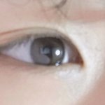 눈평가좀