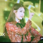 [아이유] 솔직히 이번에