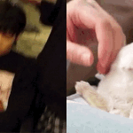 [방탄소년단] 이삐들 이거 봐봐 ㅠㅠ  졸귀당 ㅠㅠ