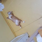 오랜만에 <b>뜬금</b>이 근황이여