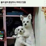 아 <b>종이</b>에 손목베임