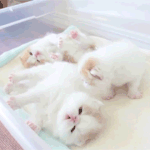[드루와] 부산으로 <b>이사랑</b> 전학 왔는데