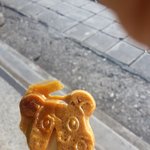 지금 이상황에도 모두가 1<b>인칭</b> 시점이라는거