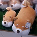 [댓글부탁해] 애들아 우리 <b>필기</b> 자랑하고가자