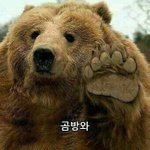 잠깨는<b>꿀팁</b>좀