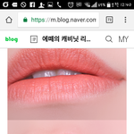 [댓글부탁해] <b>웜톤</b>한테 이 립색깔들 어울려??????
