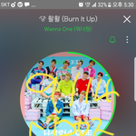 [워너원] 멤버별 성격<b>유형</b>~