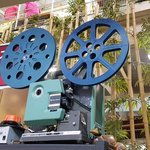 <b>국제사회</b>와 역행