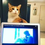 [방탄소년단] 짐렌디피티 냥이 <b>주인분</b> 인별 ㅋ ㅋ ㅋ ㅋ ㅋ