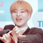 [세븐틴] ㅅㄷ 나 포함 캐럿들은