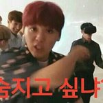 [세븐틴] 진짜 플디 부탁인게