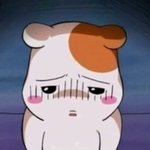 중3 <b>진로</b>를 찾고싶은데