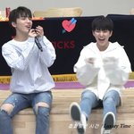 [세븐틴] 세븐틴의 작은(x) 거인 <b>디노</b>