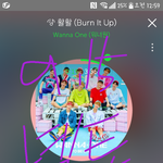 [강다니엘] ㅅㄷ)<b>강단</b>이 젤리중에 말이야