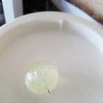 <b>사탕</b>에서 이런게 똬...ㅜㅜ
