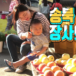 재래<b>시장</b> 구경