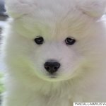 [드루와] 다음 중 하나의 곳에서 살아간다면?