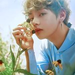 [방탄소년단] 이번에 호감가는 머글인데..