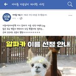 [임영민] 다들 이거봤어 ?ㅋㅋㅋㅋㅋ