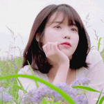 애들아 이것도 유행<b>탐</b>??