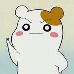 배드민턴의 맛을 알아버림
