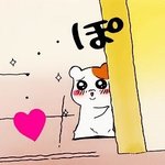 <b>페미니스트</b> 들은