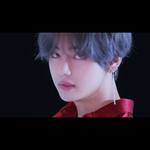 [방탄소년단] 방탄에게 축복을.......