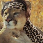 [NCT] 앜ㅋㅋ 이거봤어??