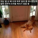 [댓글부탁해] 얘들아 옷<b>수선</b>집에서 문자왔는데