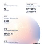 [세븐틴] ㅅㅂ <b>온몸</b>어에소름