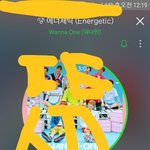 [워너원] 애들아 우리 사과문 요구 안해??
