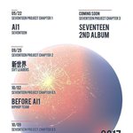 [세븐틴] 총....?