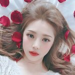 혹시 너네 새벽에 산책해봄?