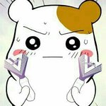 [세븐틴] 궁예못하는 멍청이는